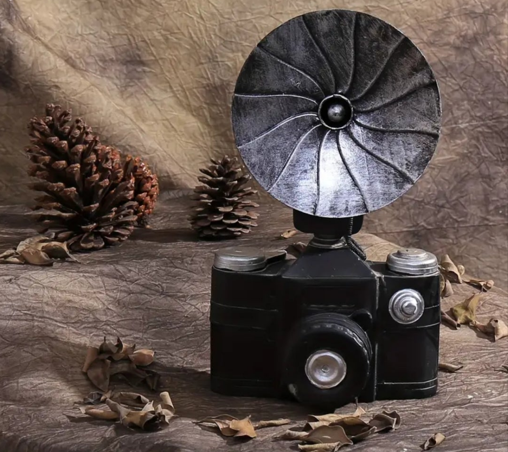 Vintage camera model